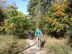 Killikus&reg; Fotographie